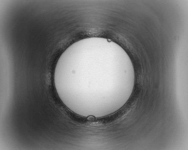 X0000103220689200809181504