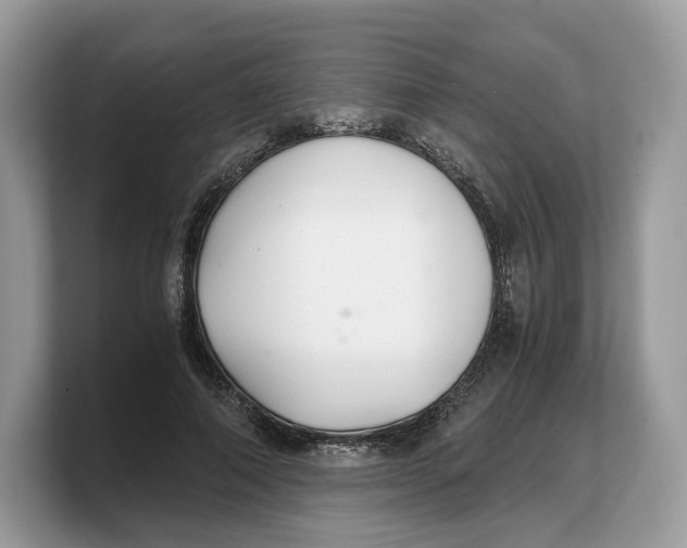 X0000103220690200809181504