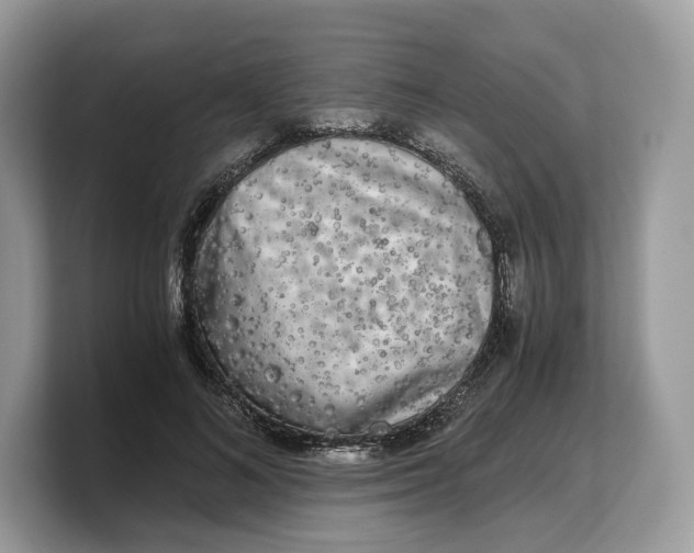 X0000103220692200809181504