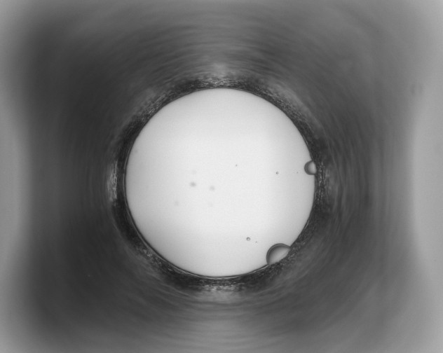 X0000103220694200809181504