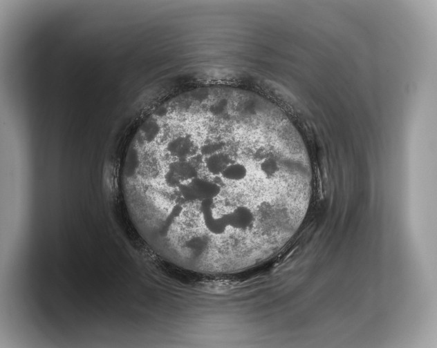 X0000103220695200809181504