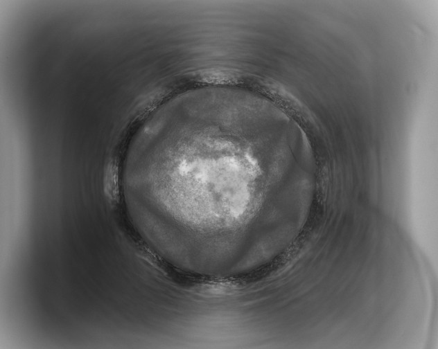 X0000103220696200809181504