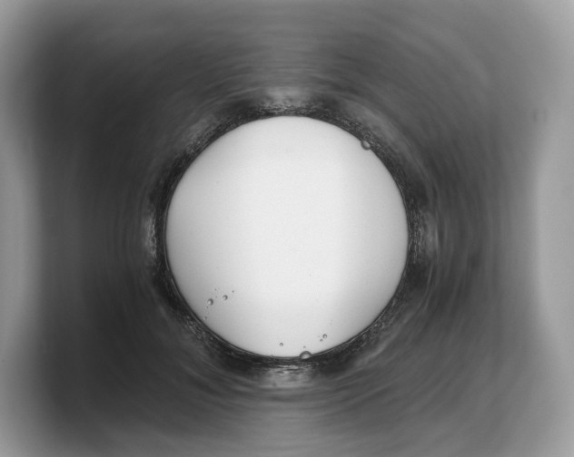 X0000103220700200809181504