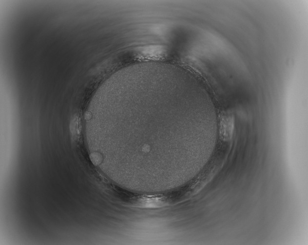 X0000103220701200809181504