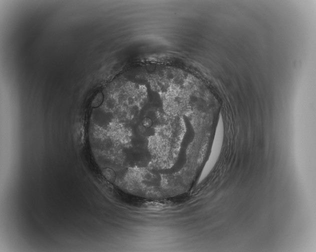 X0000103220703200809181504