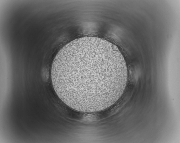 X0000103220705200809181504