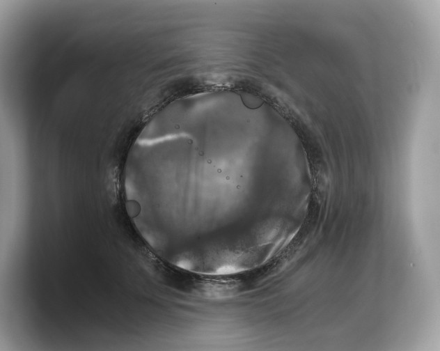 X0000103220707200809181504