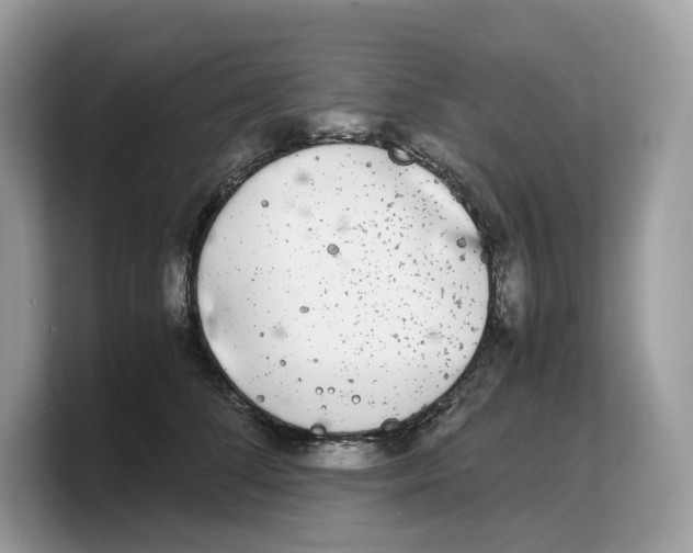 X0000103220708200809181504