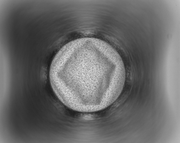 X0000103220710200809181504