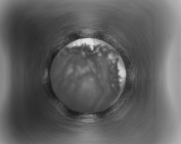 X0000103220711200809181504