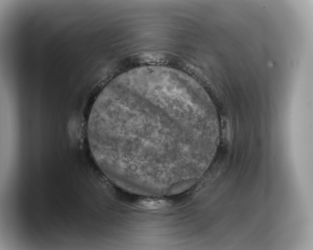 X0000103220712200809181504