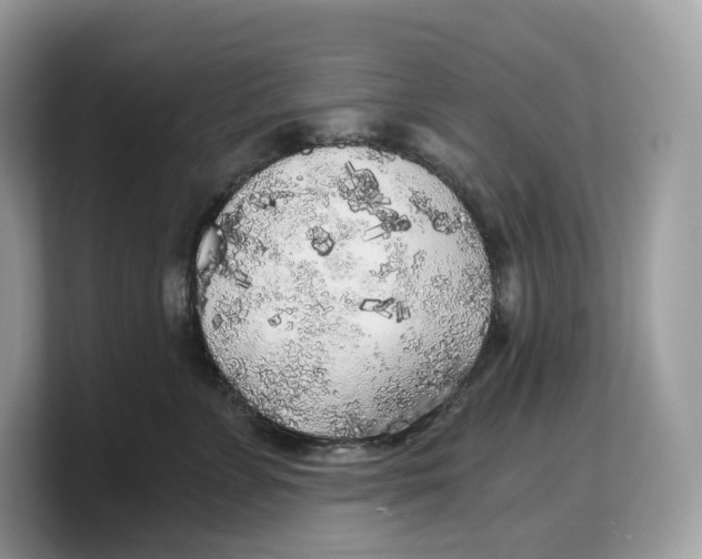 X0000103220715200809181503