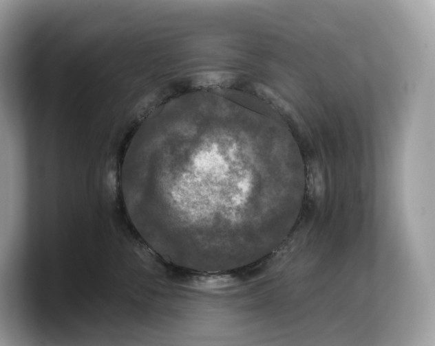 X0000103220716200809181503