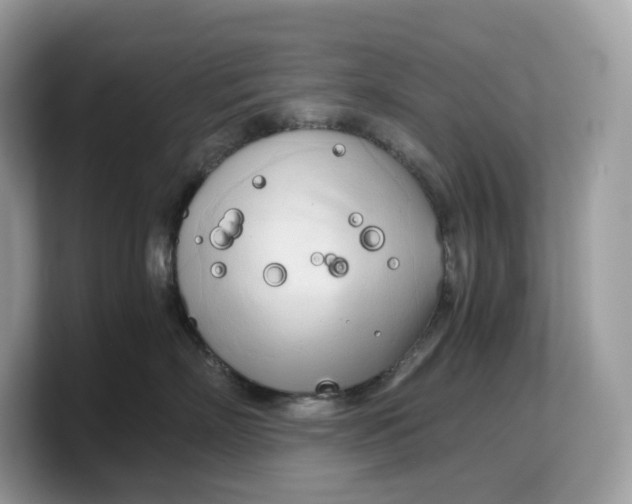 X0000103220718200809181503