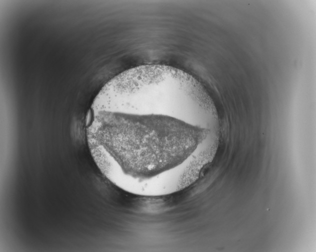 X0000103220719200809181503