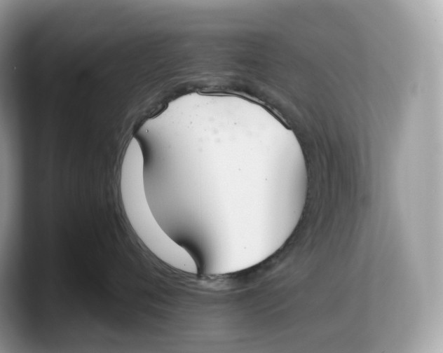 X0000103220720200809181503