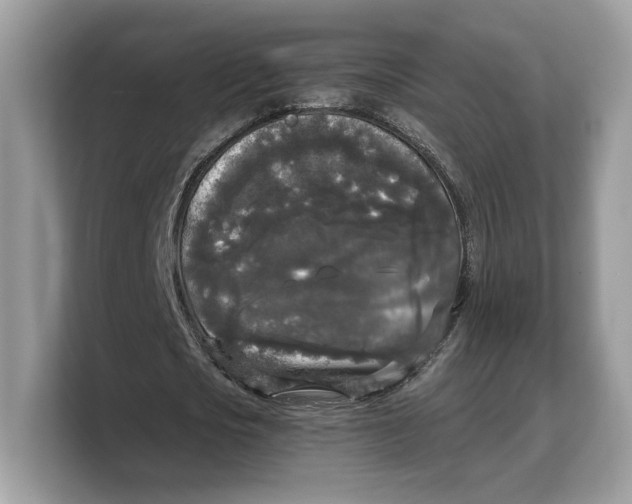 X0000103220721200809181503