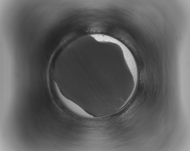 X0000103220722200809181503