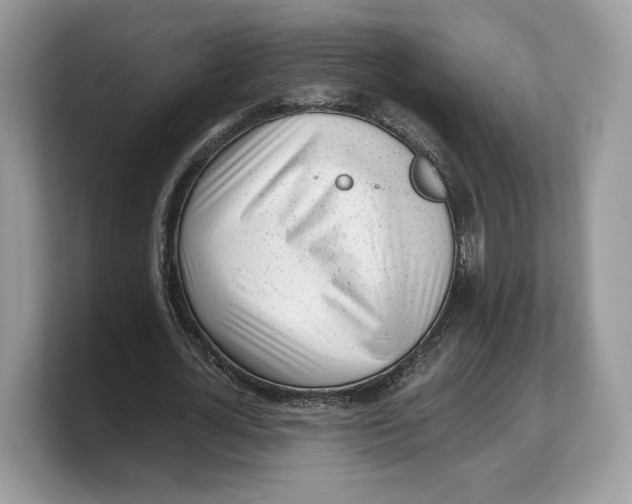 X0000103220724200809181503