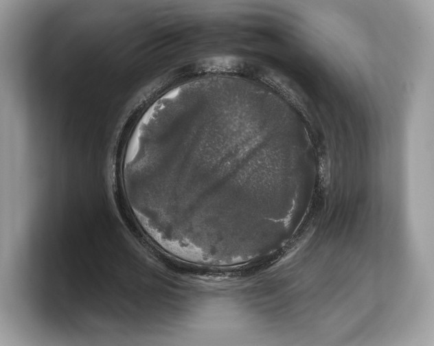 X0000103220725200809181503