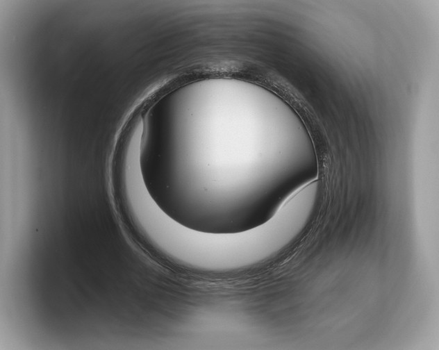 X0000103220726200809181503