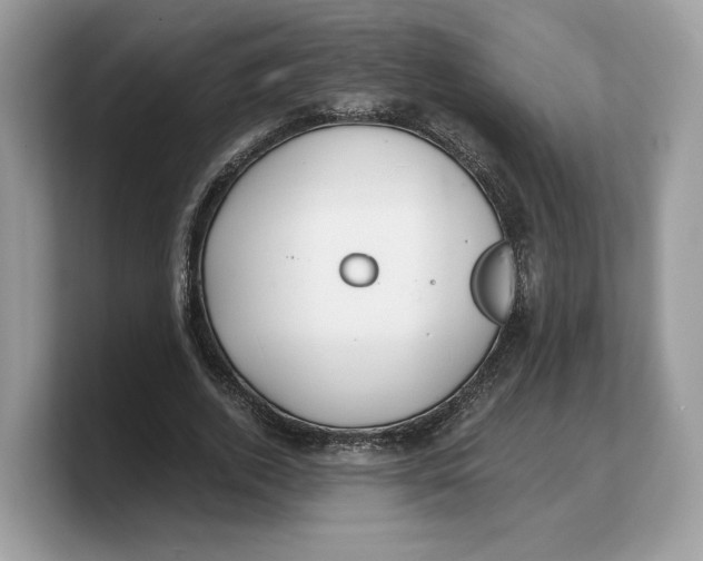 X0000103220728200809181503