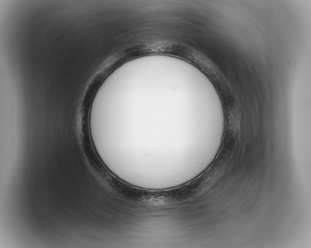 X0000103220730200809181503