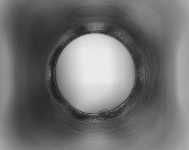 X0000103220731200809181503