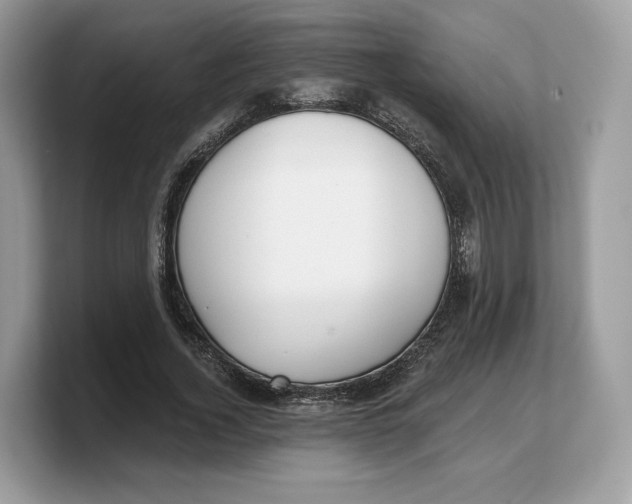 X0000103220732200809181503