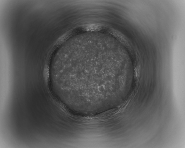 X0000103220733200809181503