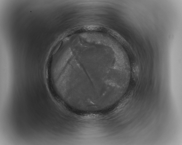 X0000103220734200809181503