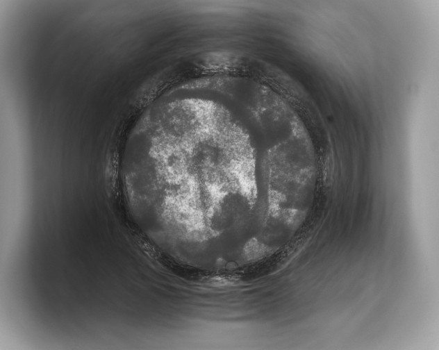 X0000103220737200809181503