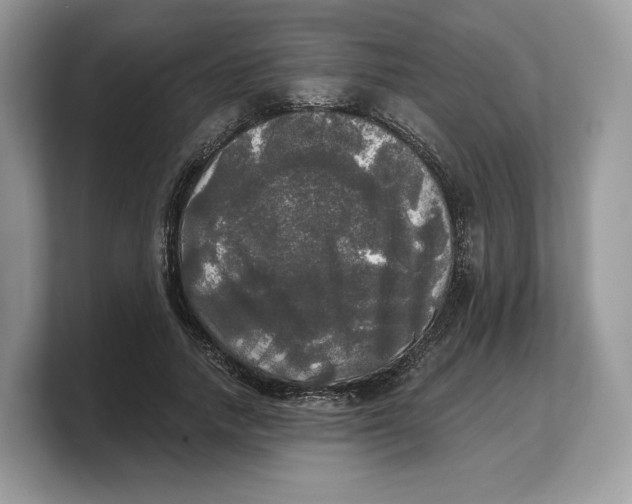 X0000103220738200809181503