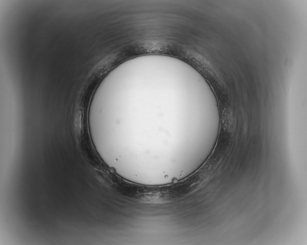 X0000103220740200809181503