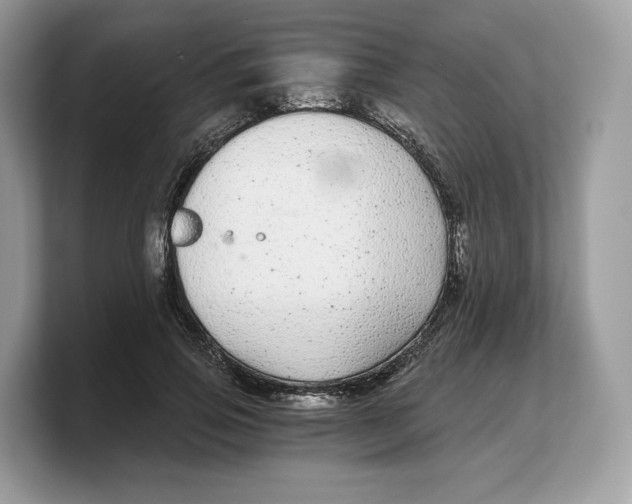 X0000103220741200809181503