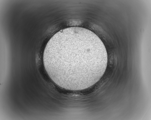 X0000103220743200809181503