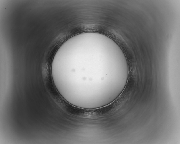 X0000103220744200809181503