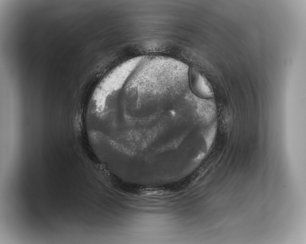 X0000103220746200809181503