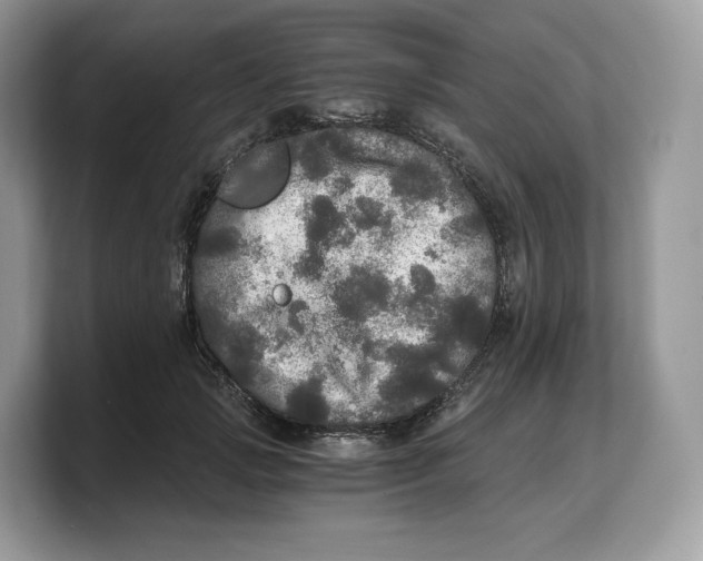 X0000103220749200809181503