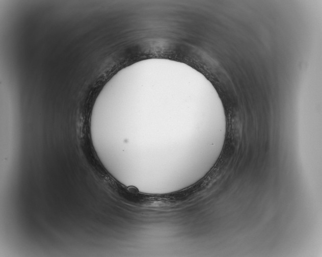 X0000103220750200809181503