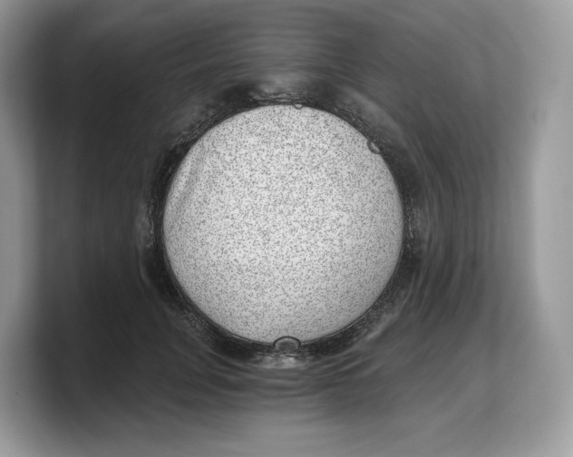 X0000103220751200809181503