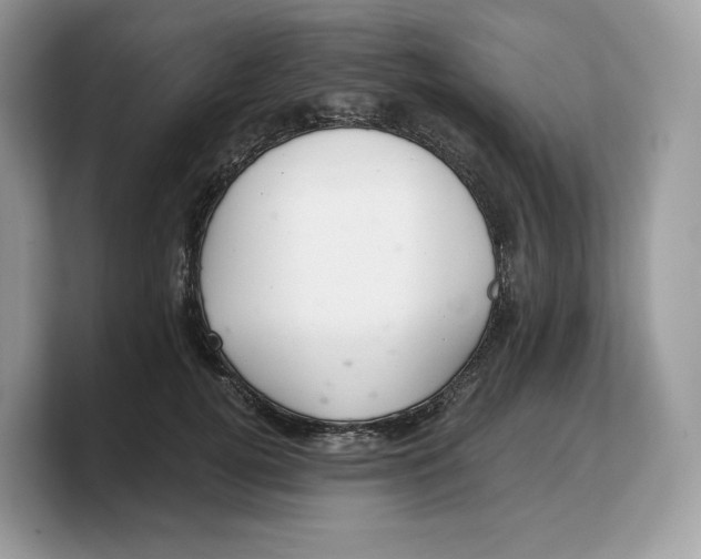 X0000103220752200809181503