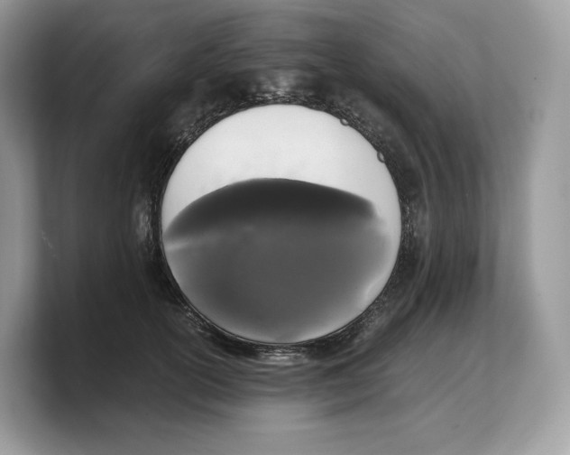 X0000103220754200809181503