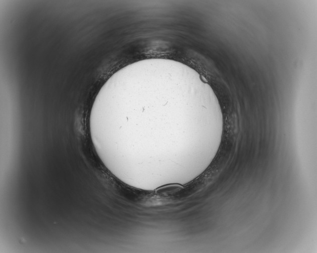 X0000103220755200809181503