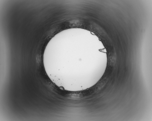 X0000103220756200809181503