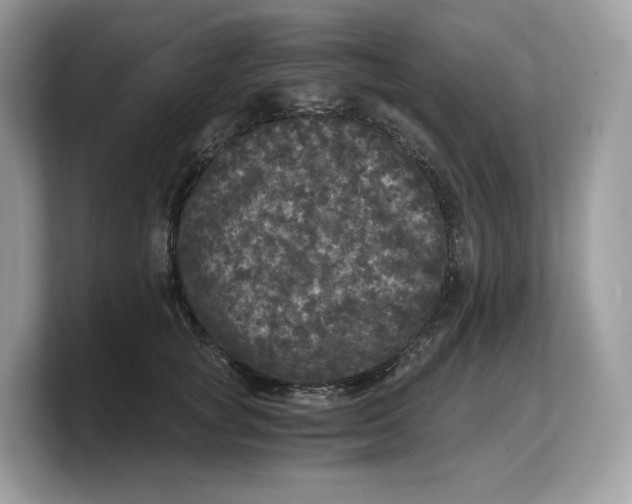 X0000103220757200809181503