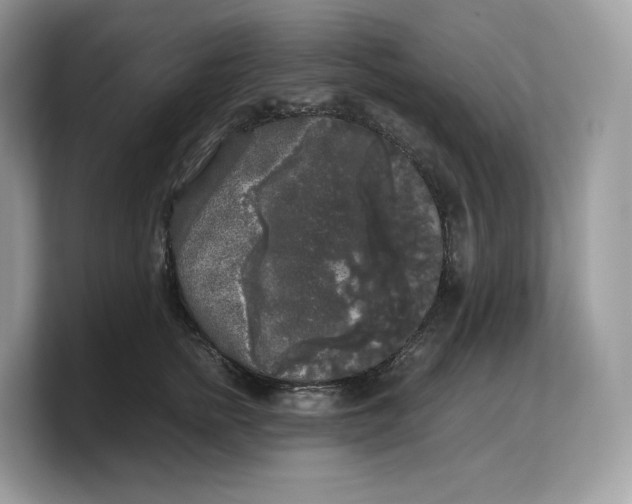 X0000103220758200809181503