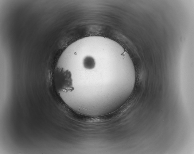 X0000103220759200809181503