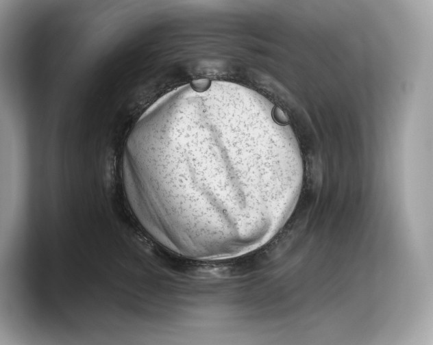 X0000103220760200809181503