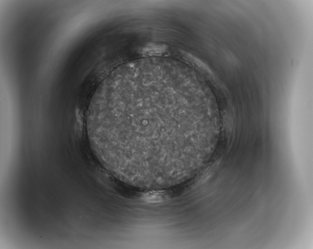 X0000103220761200809181503